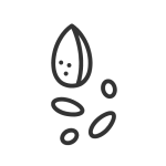 Sin título-2_Mesa de trabajo 1